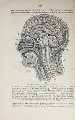 Морозов Н. Христос. Кн. 2. Силы земли и небес. Л.: Государственное издательство, 1926.